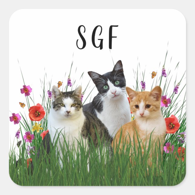 Monogram söta katter dekal fyrkantigt klistermärke (Framsida)