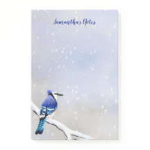 Monogram Watercolor Winter Snö Bird Blue Jay