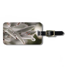 Monogrammad Grönt med brun spets