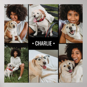 Monogrammad hund Photo Collage Poster