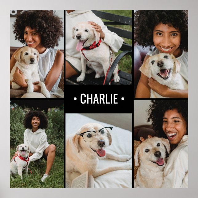 Monogrammad hund Photo Collage Poster (Framsidan)