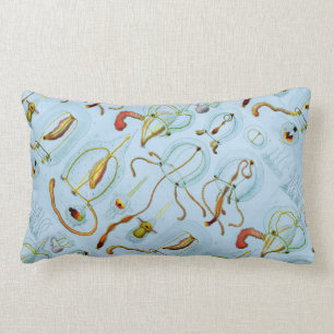 Monographie der Medusen (1879). Ernst Haeckel Lumbarkudde