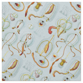 Monographie der Medusen (1879) Ernst Haeckel Tyg