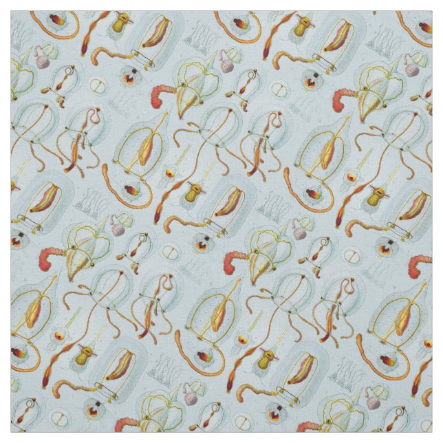 Monographie der Medusen (1879) Ernst Haeckel Tyg (Provkarta)