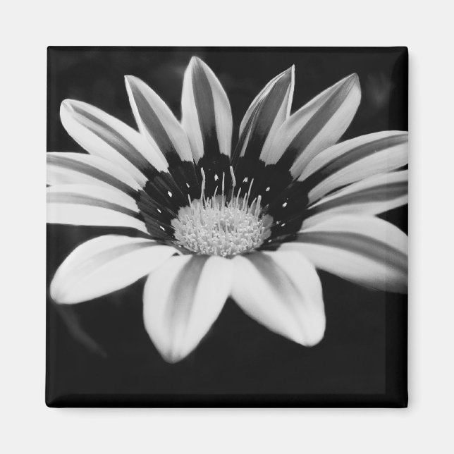 Monokrom blomkonst magnet (Framsidan)
