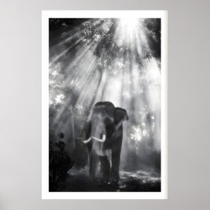Monokrom Elefant Väggkonst, Naturfoto (Levande Poster