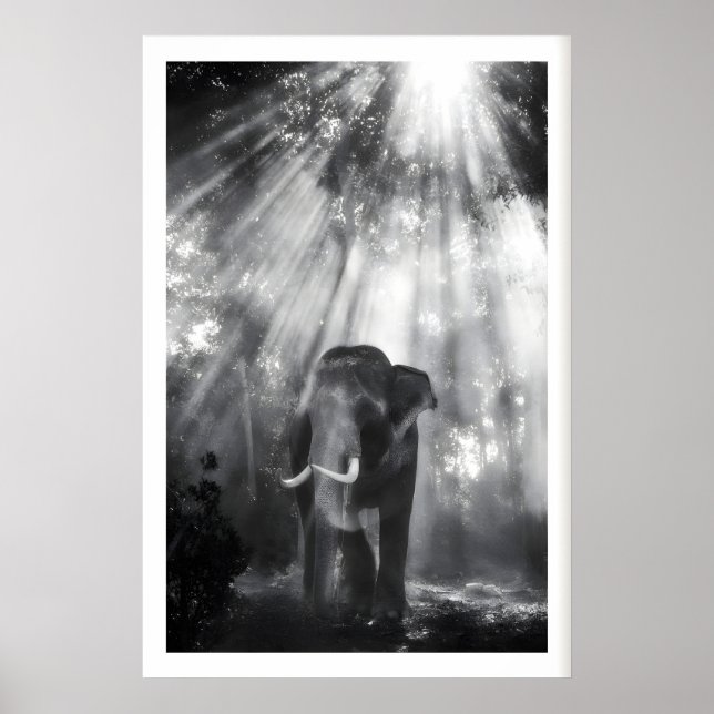 Monokrom Elefant Väggkonst, Naturfoto (Levande Poster (Framsidan)
