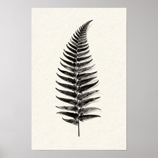 Monokrom ferns silhuett 30 x 45 cm poster (Framsidan)