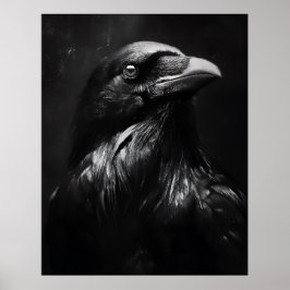 Monokrom Porträtt av Korp Poster