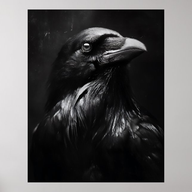 Monokrom Porträtt av Korp Poster (Framsidan)