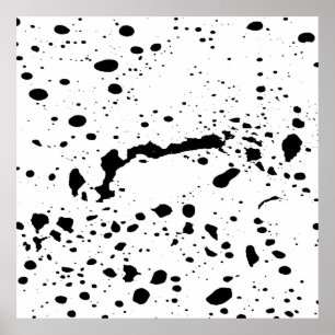 Monokrom spegling poster