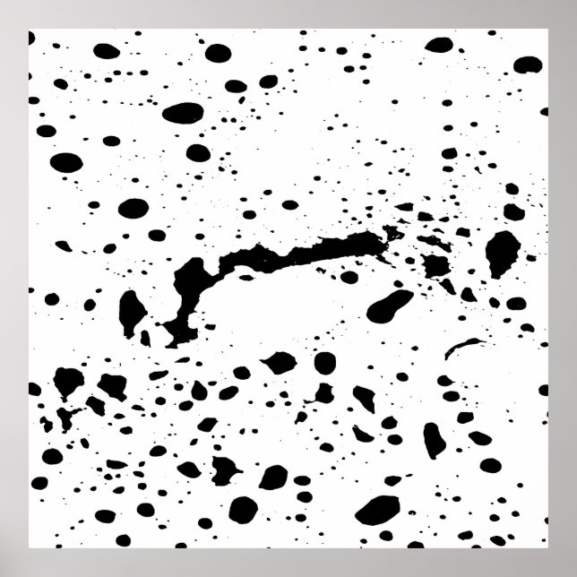 Monokrom spegling poster (Framsidan)