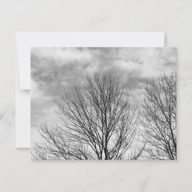 Monokrom Träd överst (Framsida)