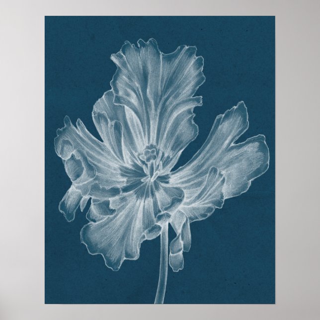 Monokrom Tulip II Poster (Framsidan)