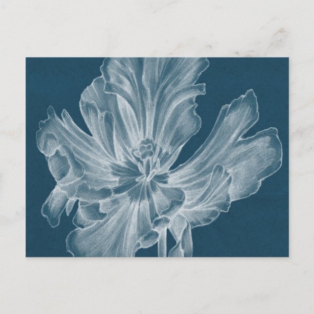 Monokrom Tulip II Vykort (Framsida)