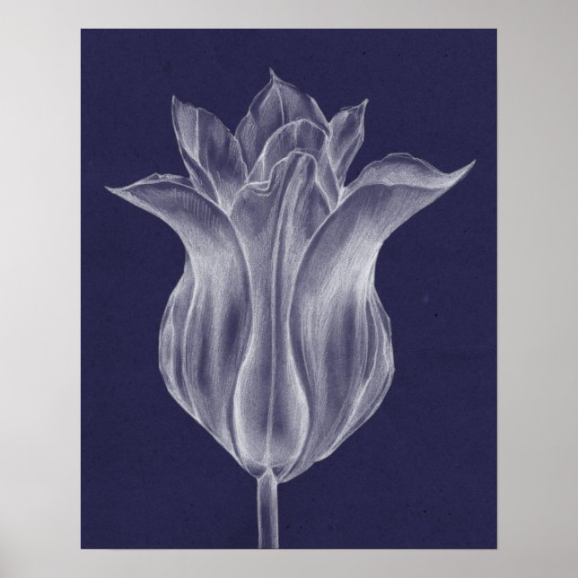 Monokrom tulpansyra III Poster (Framsidan)