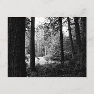 Monokrom undsättning från Forest Mörkret-vykort Vykort