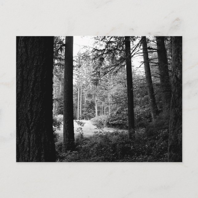 Monokrom undsättning från Forest Mörkret-vykort Vykort (Framsida)