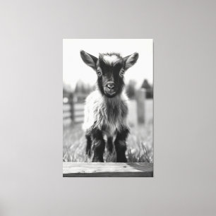 Monokromatisk Baby-goat Porträtt Canvastryck