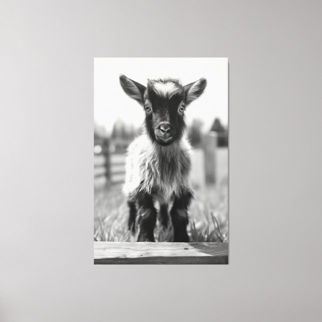Monokromatisk Baby-goat Porträtt Canvastryck (Framsida)