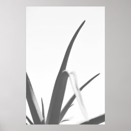 Monokrome Black White Aloe Plant Löv Poster