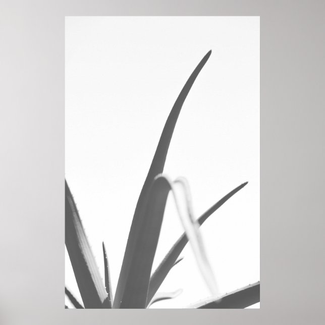 Monokrome Black White Aloe Plant Löv Poster (Framsidan)