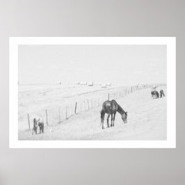Monokrome Black White Rural Landscape Vild Horses Poster