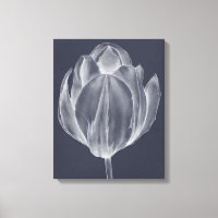 Monokrome Tulip I
