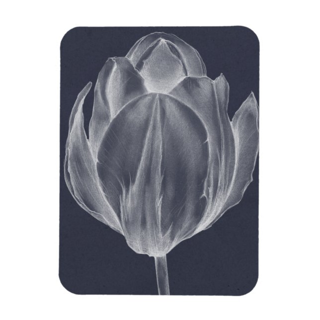 Monokrome Tulip I Magnet (Vertikal)