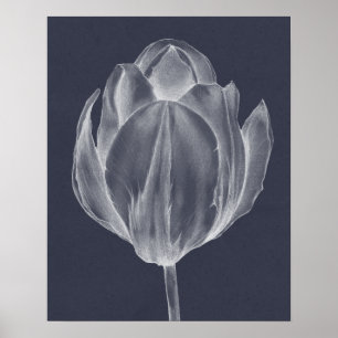 Monokrome Tulip I Poster
