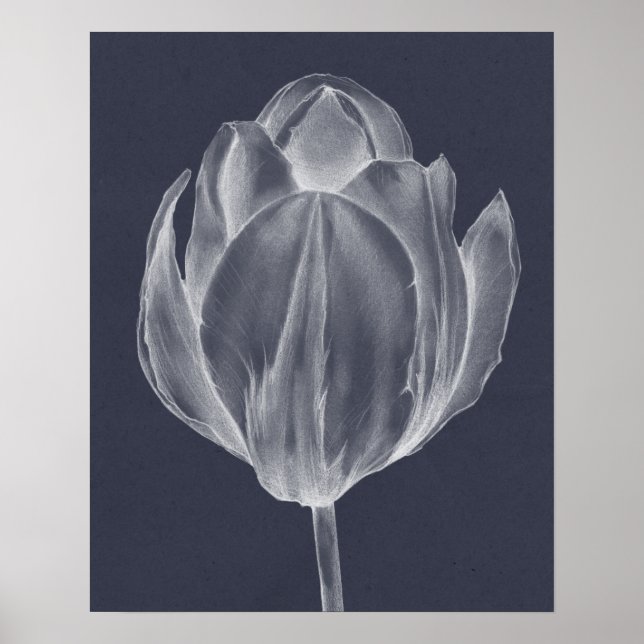 Monokrome Tulip I Poster (Framsidan)