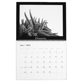 Monokromma kaktus 2016 kalender