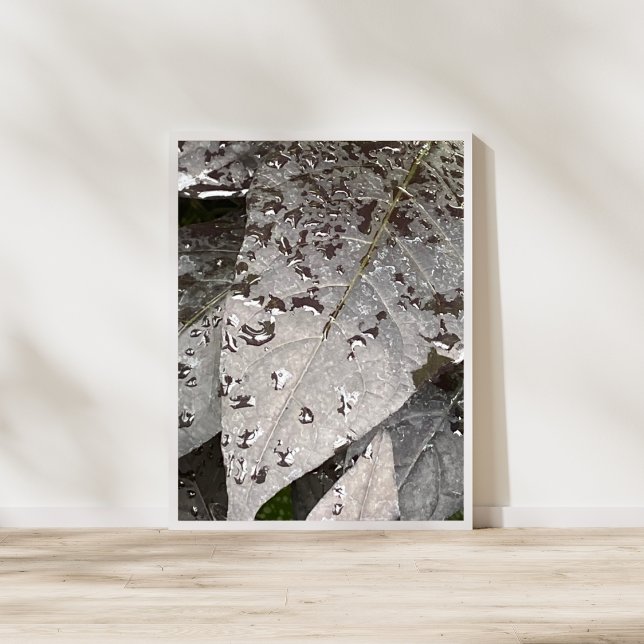 Monokromt Löv radroffotografi Poster (Skapare uppladdad)