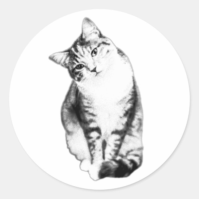 Monokromt märke för huvudlutning Tabby katt (Framsida)