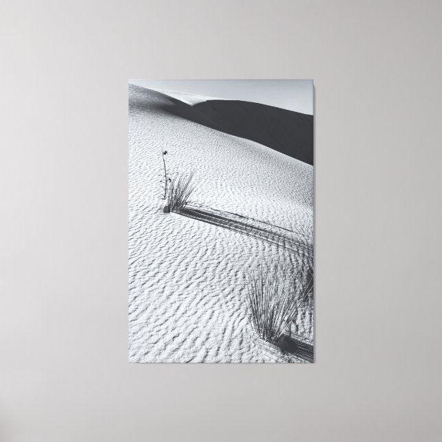 Monokromt ökenlandskap med grasstuftar canvastryck (Framsida)