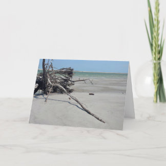 Monomoy National Wildlife Refuge in Cape Cod Kort