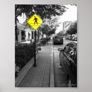 Monroe gata poster