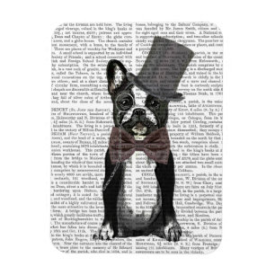 Monsieur Bulldog 2 Magnet