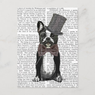 Monsieur Bulldog 2 Vykort