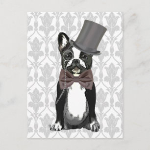 Monsieur Bulldog Vykort