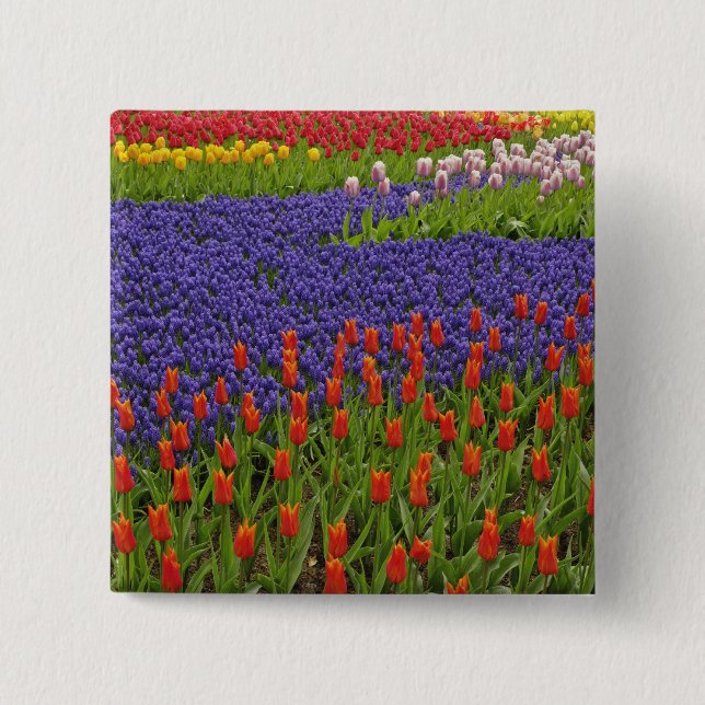 Mönster av tulpaner och druvhyacintblommor, 2 knapp (Framsida)