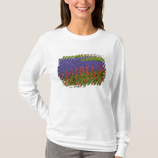 Mönster av tulpaner och druvhyacintblommor, 2 tee shirt (Framsida)