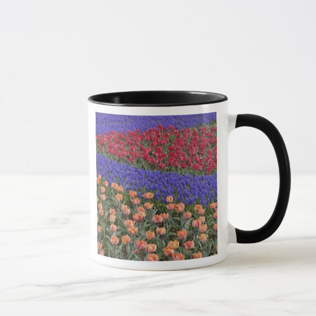Mönster av tulpaner och druvhyacintblommor, 3 mugg (Höger)