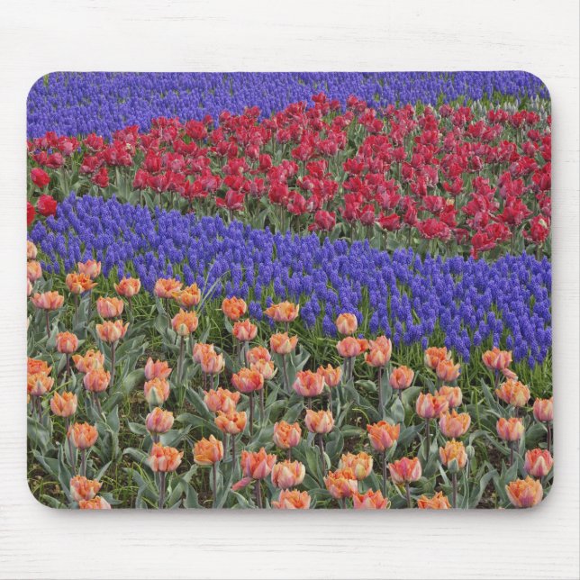 Mönster av tulpaner och druvhyacintblommor, 3 musmatta (Framsidan)