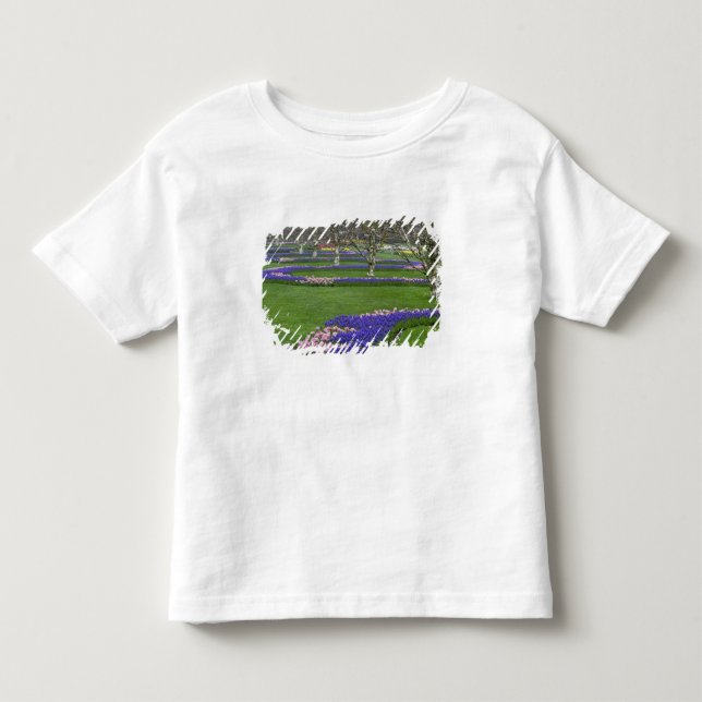 Mönster av tulpaner och druvhyacintblommor, 4 tee (Framsida)