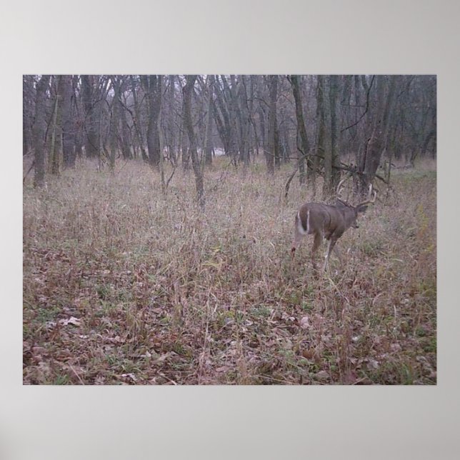 Monster Buck Poster (Framsidan)