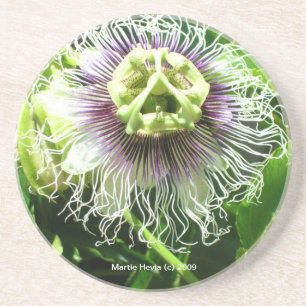 Monster Flower - Underlägg Sandsten