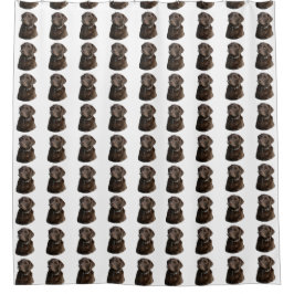 Mönster för chokladLabrador hund