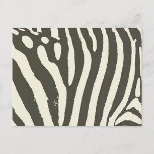 Mönster för djurutskrift för Zebra Rand Vykort