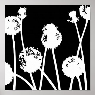 Mönster från naturen 26 poster